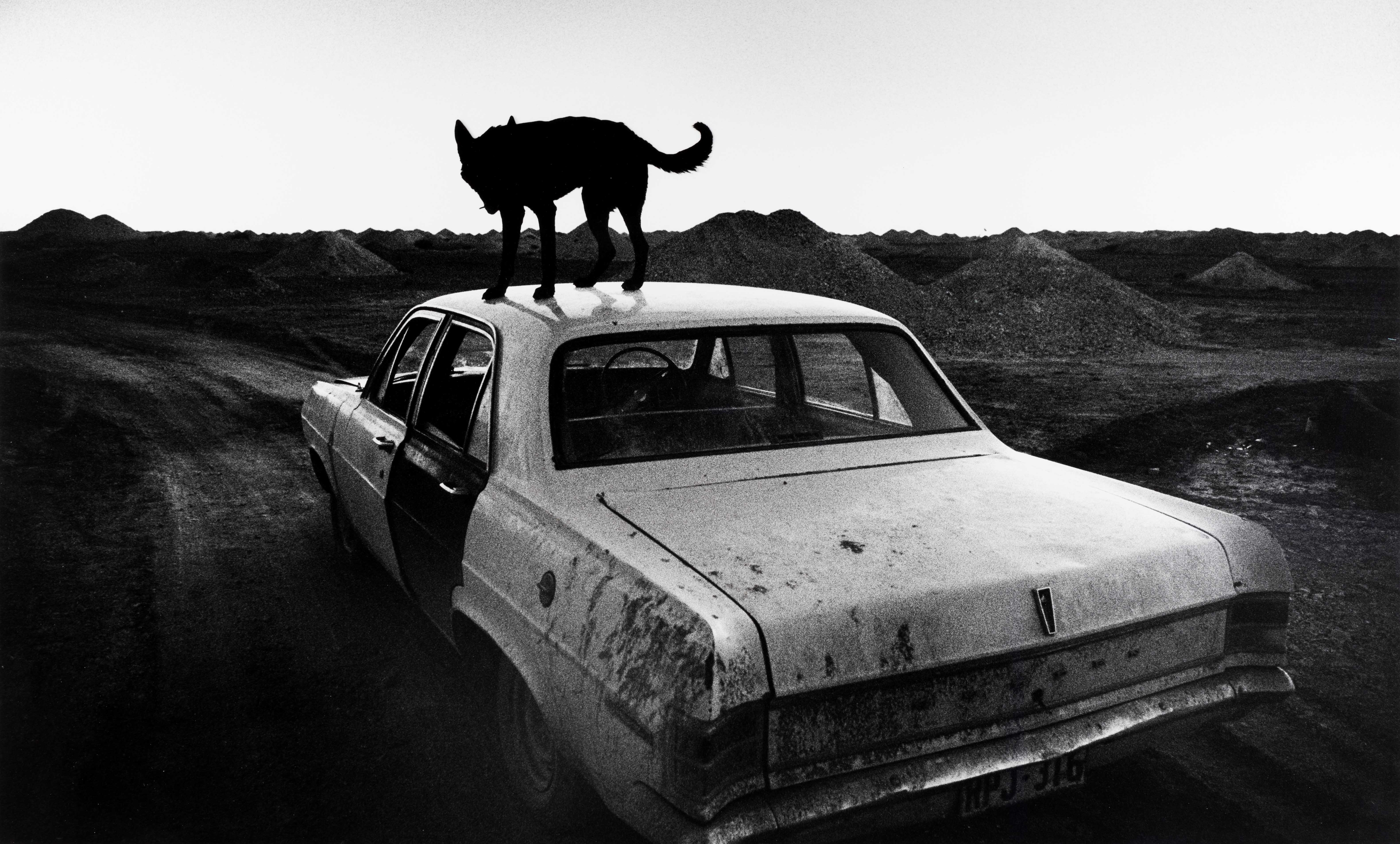 WIM WENDERS (*1945) Dusk in Coober Pedy, Australia 1978