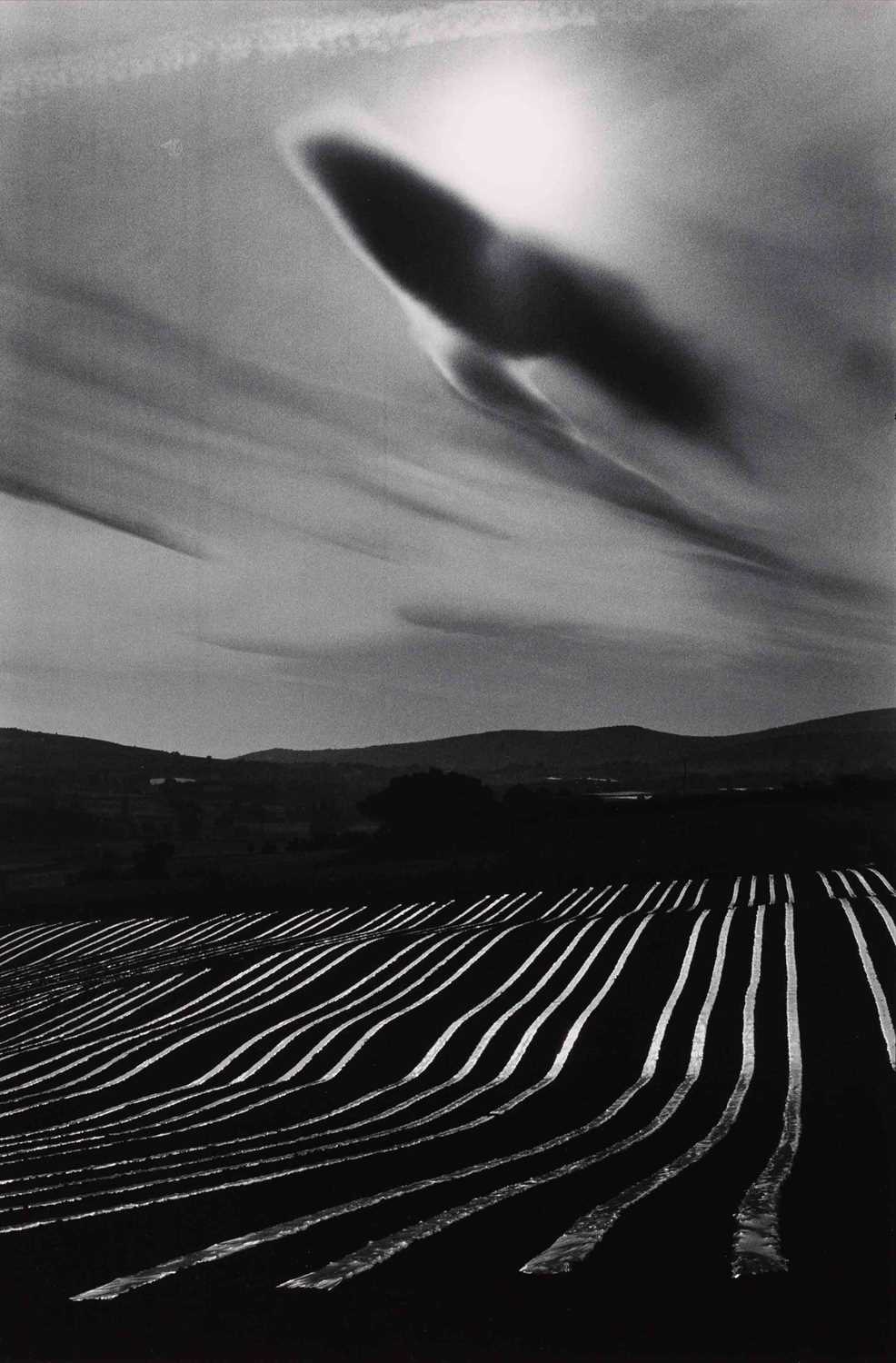 Lot 178 - MARTINE FRANCK (1938–2012)