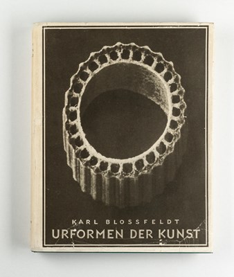 Lot 15 - KARL BLOSSFELDT (1865–1932)