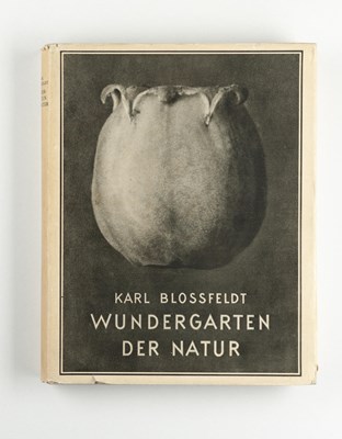 Lot 16 - KARL BLOSSFELDT (1865–1932)