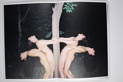 Lot 177 - REN HANG (1987–2017)
