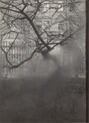 Lot 14 - JOSEF SUDEK (1896–1976)