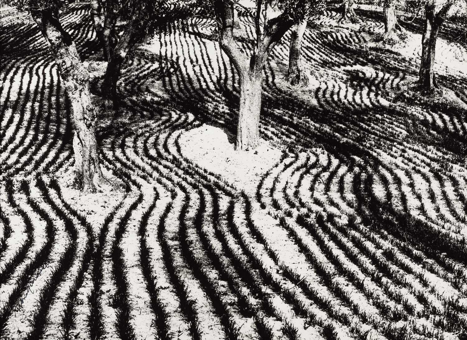 Lot 46 - MARIO GIACOMELLI (1925–2000)