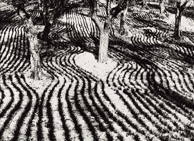 Lot 46 - MARIO GIACOMELLI (1925–2000)