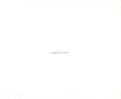 Lot 19 - EIKOH HOSOE (* 1933)