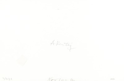 Lot 31 - ANDRÉ KERTÉSZ (1894–1985)
