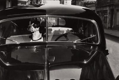 Lot 74 - ELLIOTT ERWITT (* 1928)