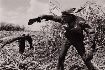 Lot 86 - SEBASTIÃO SALGADO (* 1944)