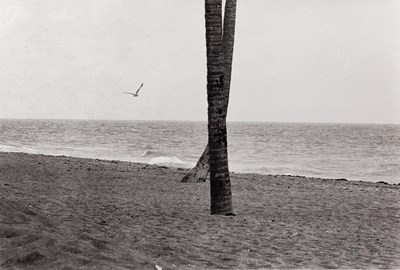 Lot 98 - ELLIOTT ERWITT (* 1928)