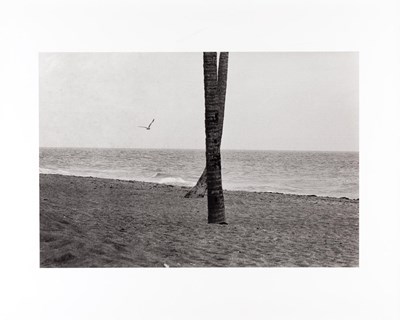 Lot 98 - ELLIOTT ERWITT (* 1928)
