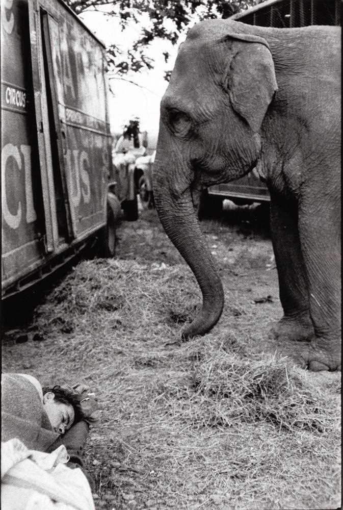 Lot 114 - BRUCE DAVIDSON (* 1933)