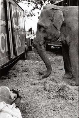 Lot 114 - BRUCE DAVIDSON (* 1933)