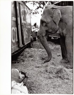 Lot 114 - BRUCE DAVIDSON (* 1933)