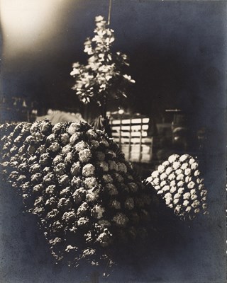 Lot 31 - GERMAINE KRULL (1897–1985)