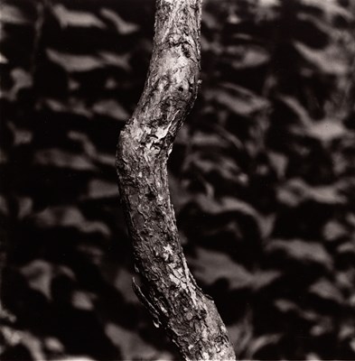 Lot 145 - AARON SISKIND (1903–1991)