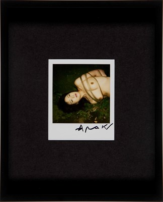 Lot 53 - NOBUYOSHI ARAKI (* 1940)