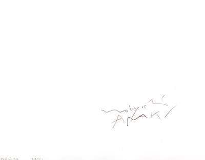 Lot 55 - NOBUYOSHI ARAKI (* 1940)