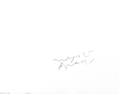 Lot 56 - NOBUYOSHI ARAKI (* 1940)