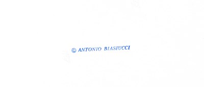 Lot 66 - ANTONIO BIASIUCCI (* 1961)