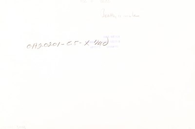 Lot 67 - BRUCE DAVIDSON (* 1933)