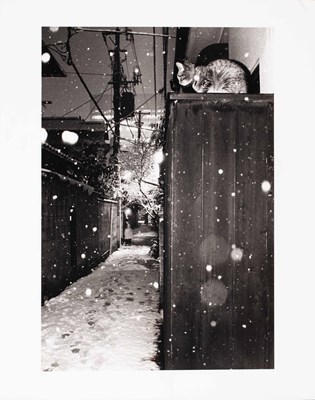 Lot 68 - YOKO YAMAMOTO (* 1952)