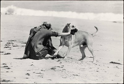 Lot 83 - ELLIOTT ERWITT (* 1928)