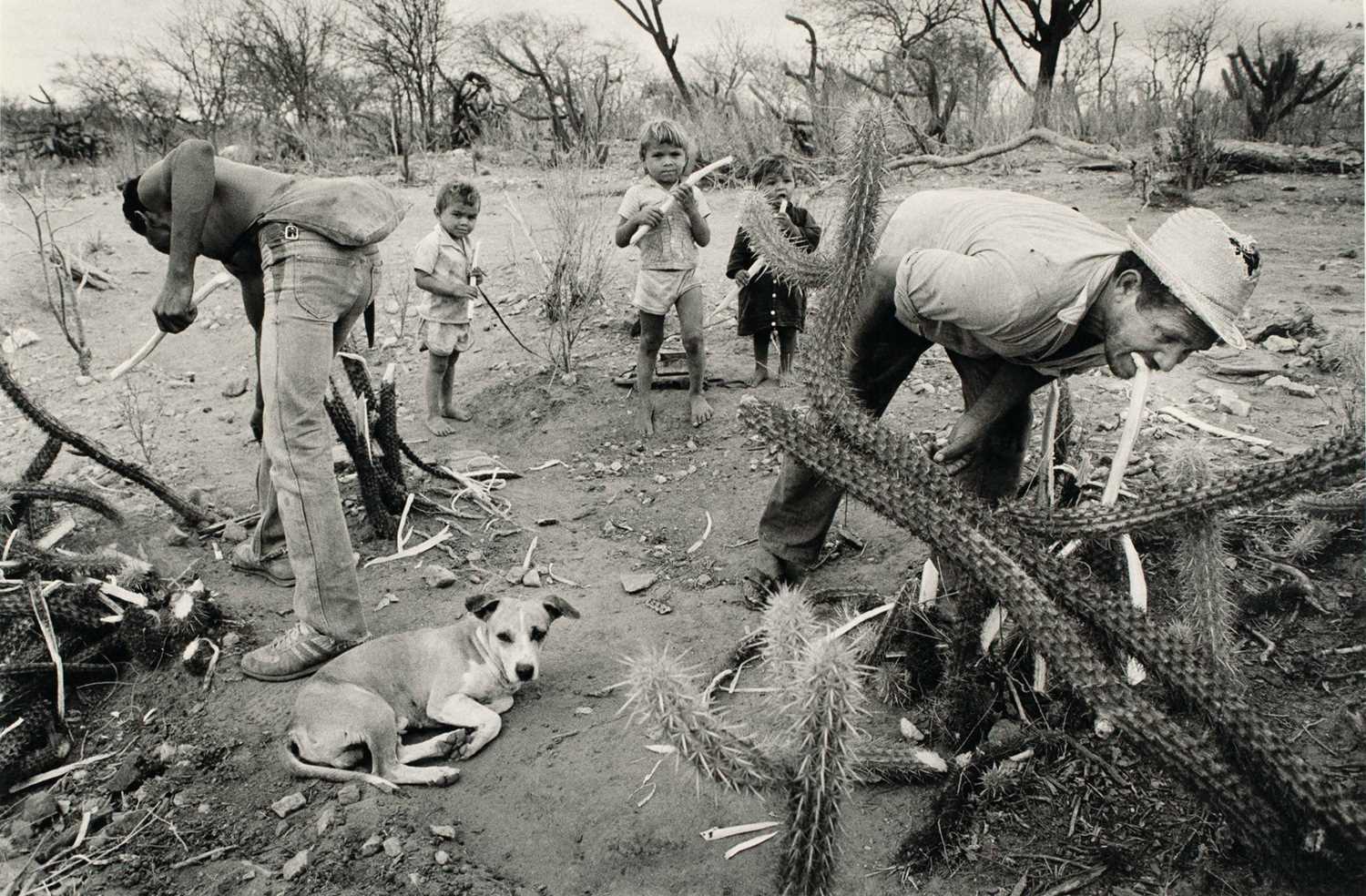 Lot 92 - SEBASTIÃO SALGADO (* 1944)