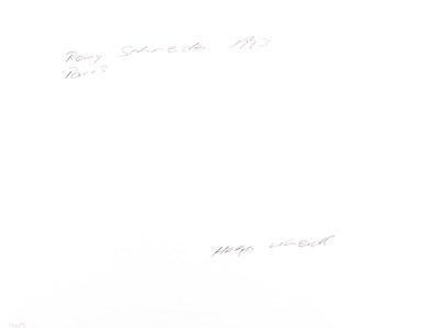 Lot 110 - HELGA KNEIDL (* 1939)