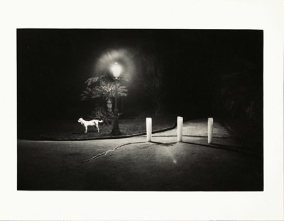 Lot 149 - MARIALBA RUSSO (*1947)