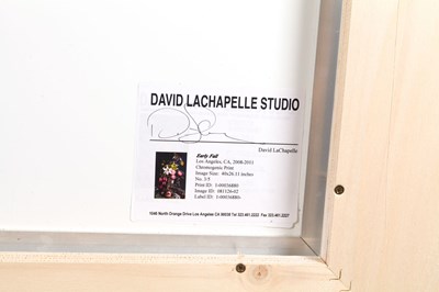 Lot 206 - DAVID LACHAPELLE (*1963)