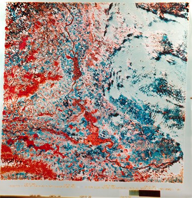 Lot 202 - NASA Mission Landsat Infrared aerial photograph