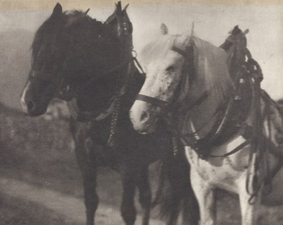 Lot 6 - ALFRED STIEGLITZ (1864–1946)