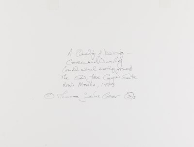Lot 106 - THOMAS JOSHUA COOPER (*1946)