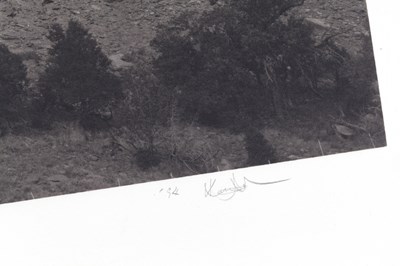 Lot 110 - KENRO IZU (*1949)