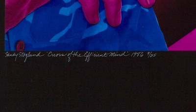 Lot 116 - SANDY SKOGLUND (*1946)