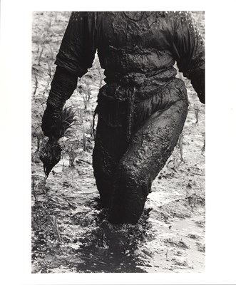 Lot 142 - HIROJI HAMAYA (1915–1999)