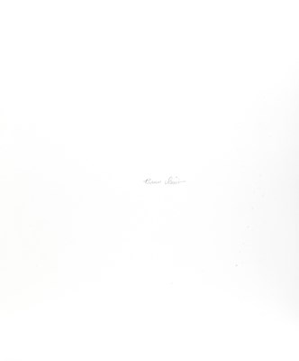 Lot 171 - BRUCE DAVIDSON (*1933)