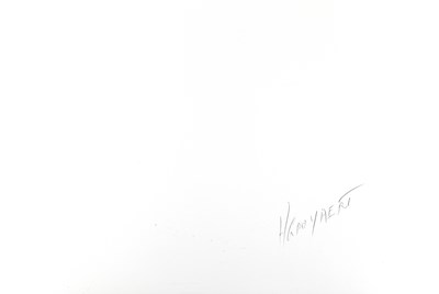 Lot 198 - HARRY GRUYAERT (*1941)