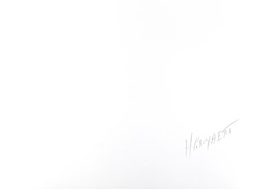 Lot 199 - HARRY GRUYAERT (*1941)