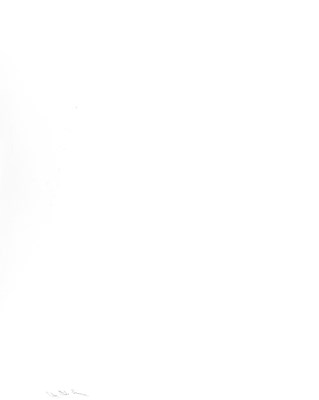 Lot 211 - CHRIS STEELE-PERKINS (*1947)