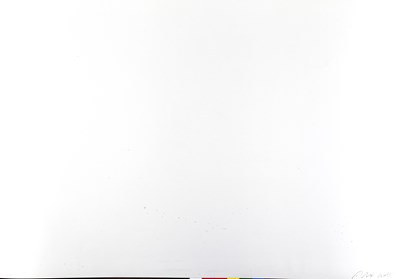 Lot 215 - ALEX WEBB (*1952)