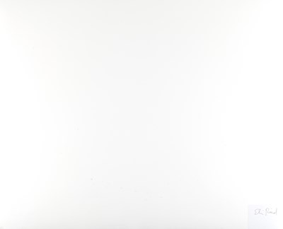 Lot 219 - ELI REED (*1946)