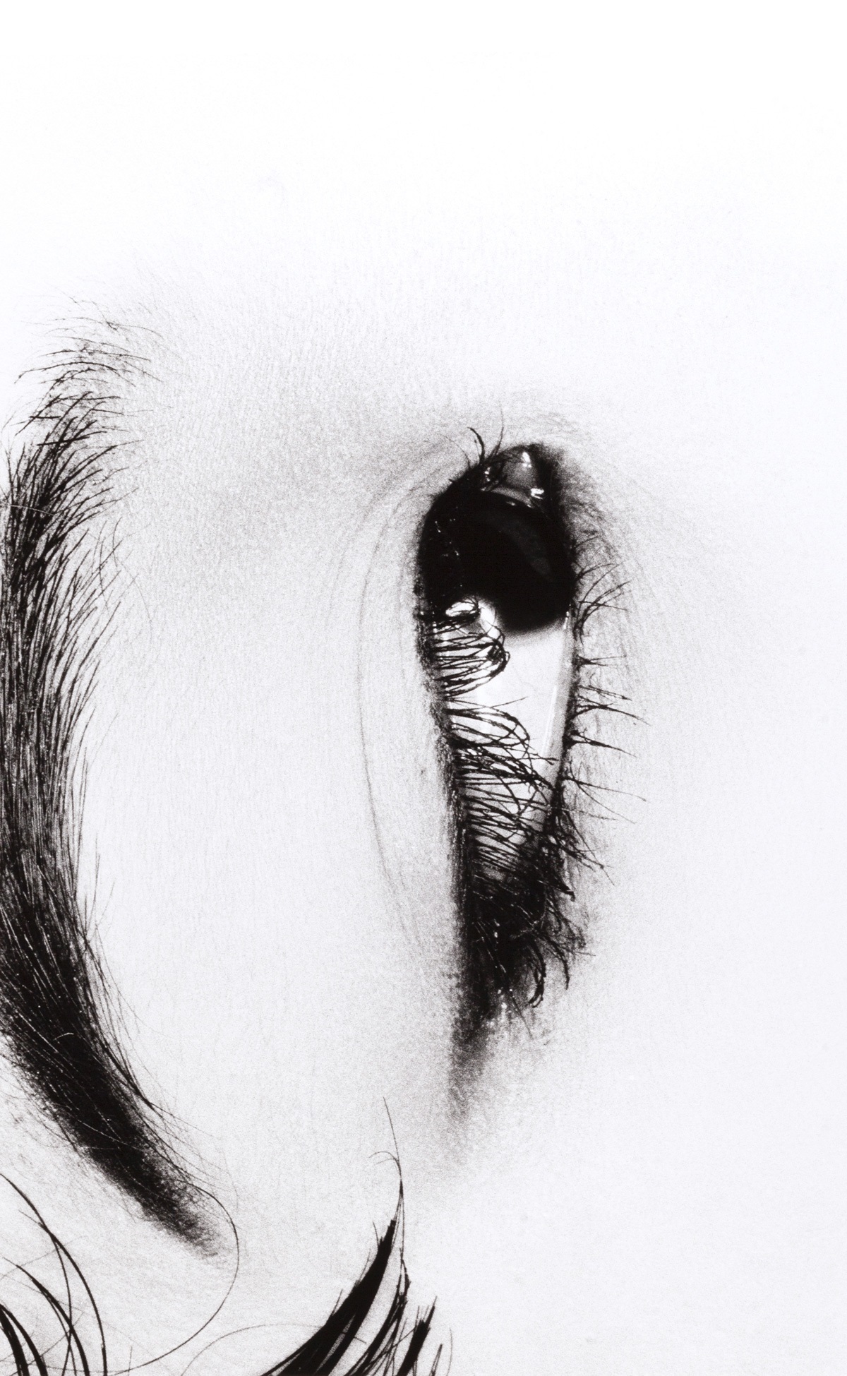 NOBUYOSHI ARAKI (*1940) | Untitled, from the series 'Erotos