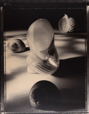 Lot 86 - TOM BARIL (*1952) | Shells, USA 1994