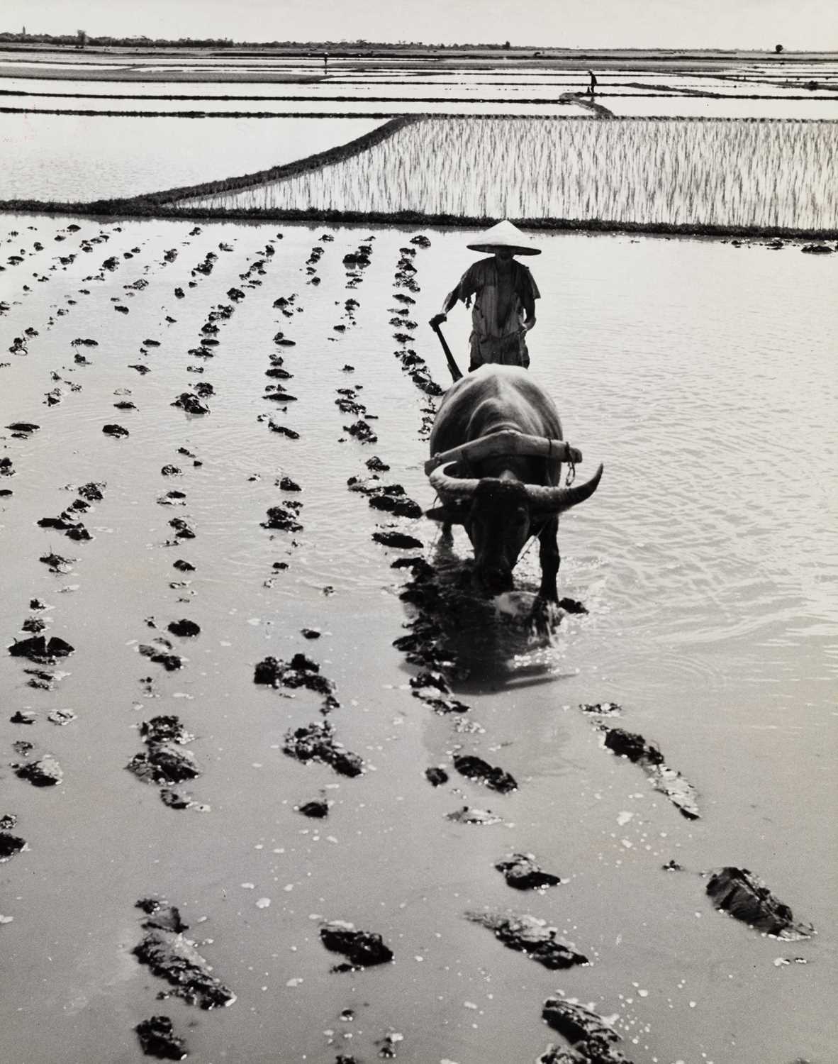 Lot 83 - WERNER BISCHOF (1916–1954)