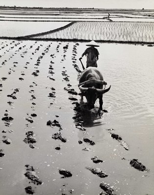 Lot 83 - WERNER BISCHOF (1916–1954)
