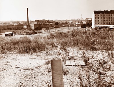 Lot 166 - ELFRIEDE MEJCHAR (1924–2020)
