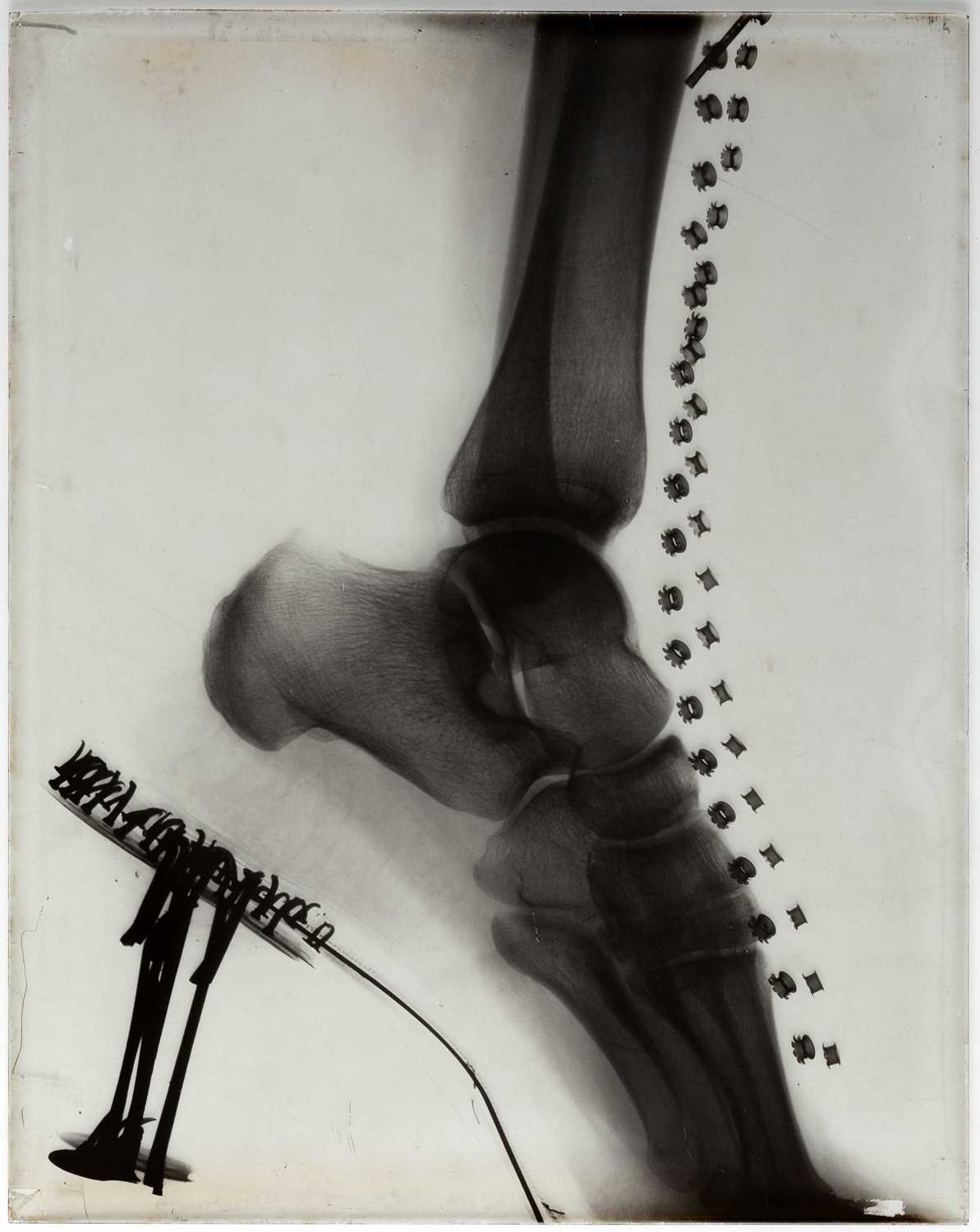 Lot 17 - ANONYMOUS PHOTOGRAPHER