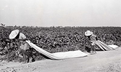 Lot 50 - ALFRED EISENSTAEDT (1898–1995)