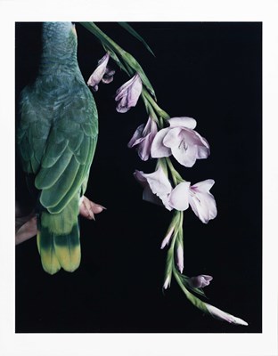 Lot 181 - SANDI FELLMAN (*1952)
